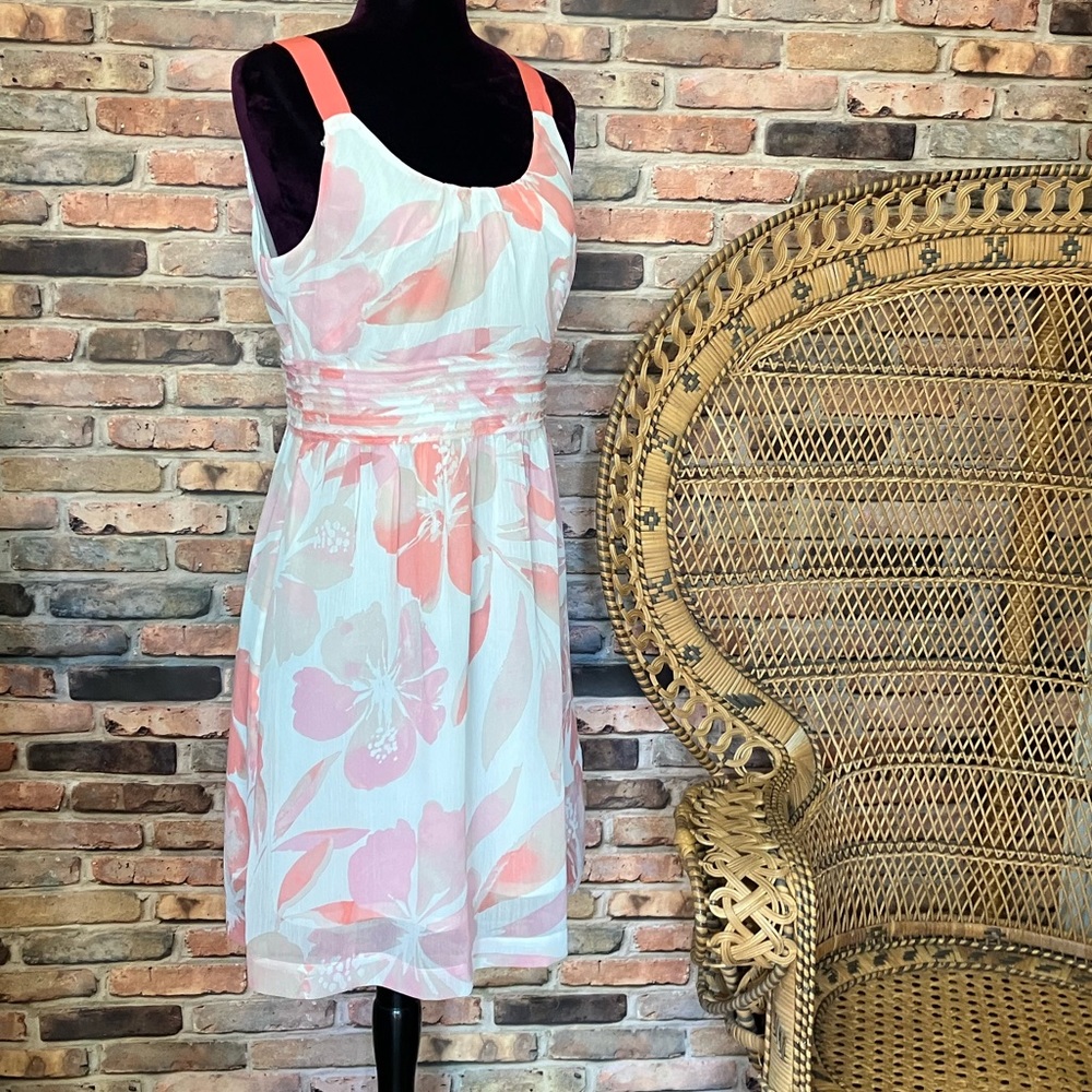 Ann Taylor Loft Peachy Pink  Chiffon Dress